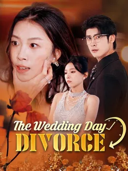 The Wedding Day Divorce