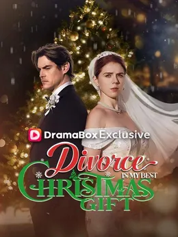 Divorce Is My Best Christmas Gift