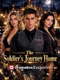 The Soldier's Journey Home